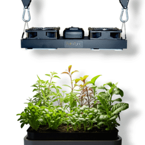 Fullbright 2000 Quantum Cob Bitki Yetiştirme Lambası(200w)