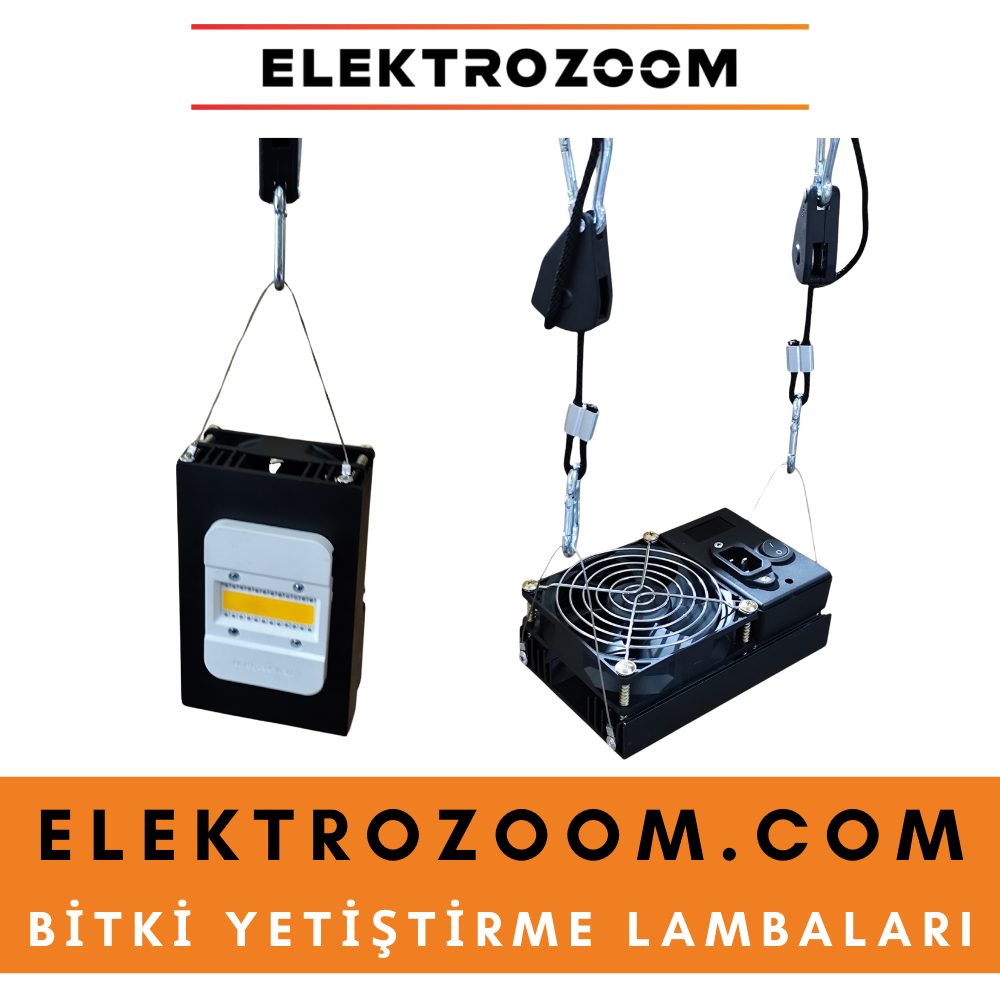 Evde Bitki Yetiştirme