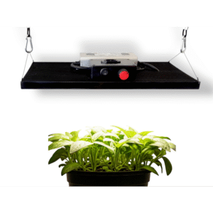 120W Samsung LM301H EVO (King Brite Board) Bitki Yetiştirme Lambası