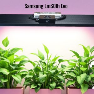 Samsung LM301H Evo KingBrite 240W - Bitki Yetiştirme Lambası