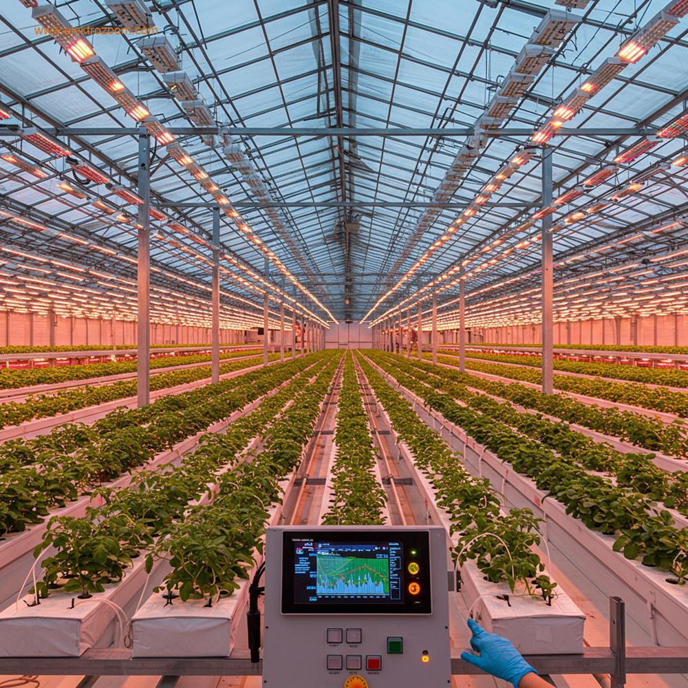İleri soilless tarım tekniklerini kullanan, geniş ve iyi aydınlatılmış ticari bir seranın geniş açısı. Hidroponik yetiştirme kanallarının sayısız paralel sırası, olgun kırmızı domatesler veya yemyeşil çilekler gibi sağlıklı, canlı bitkilerle dolu. Doğal ışık bol miktarda cam çatıdan süzülüyor, tamamlayıcı olarak stratejik olarak yerleştirilmiş tam spektrumlu LED yetiştirme ışıkları yumuşak bir parıltı saçıyor. Ön planda dijital bir ekran pH ve EC seviyeleri gibi hayati ölçümleri açıkça gösteriyor ve teknisyenin temiz, eldivenli eli, hassas iklim ve besin yönetimini simgeleyen yan kontrol paneli üzerinde ince ayar yapıyor.