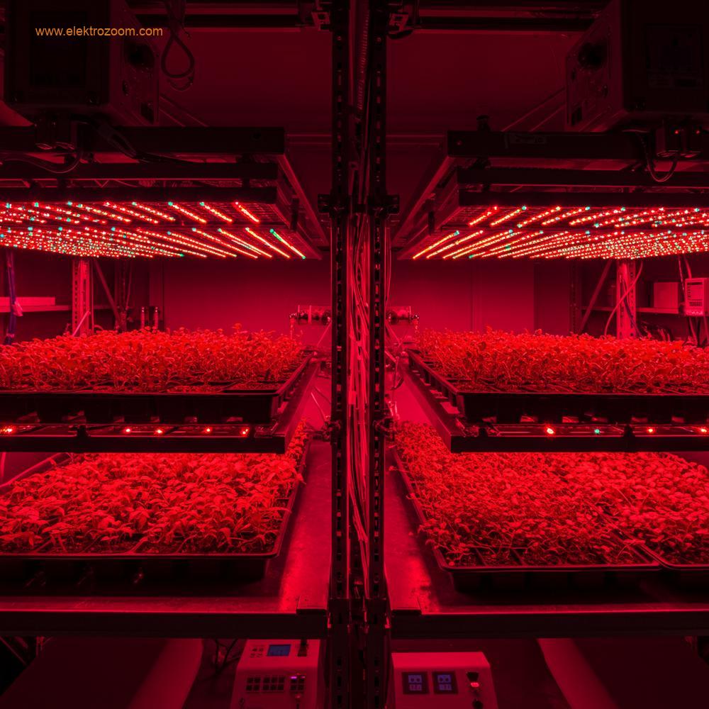 Çeşitli bitki türlerinin (örneğin farklı otlar veya fideler) ayarlanabilir LED paneller altında düzenli olarak yerleştirildiği bilimsel bir araştırma laboratuvarı veya kontrollü tarım tesisi. Her panel, spesifik kırmızı ve mavi ışık kombinasyonları yayar.