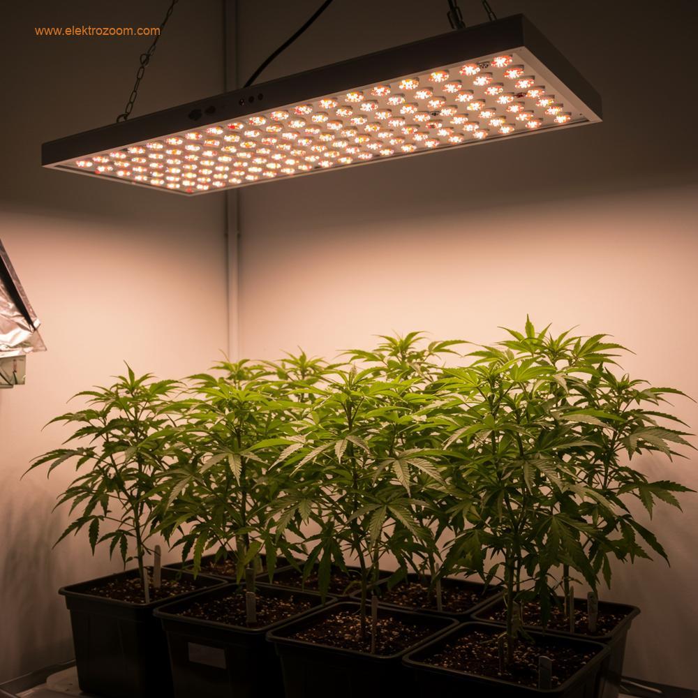 Yapay ışık altında sağlıklı bir şekilde büyüyen yeşil bitkilerin yer aldığı gerçekçi bir iç mekân yetiştirme düzeni. Bitkiler, modern, tam spektrumlu bir LED bitki ışığı altında gelişiyor ve yaprakları canlı görünüyor.