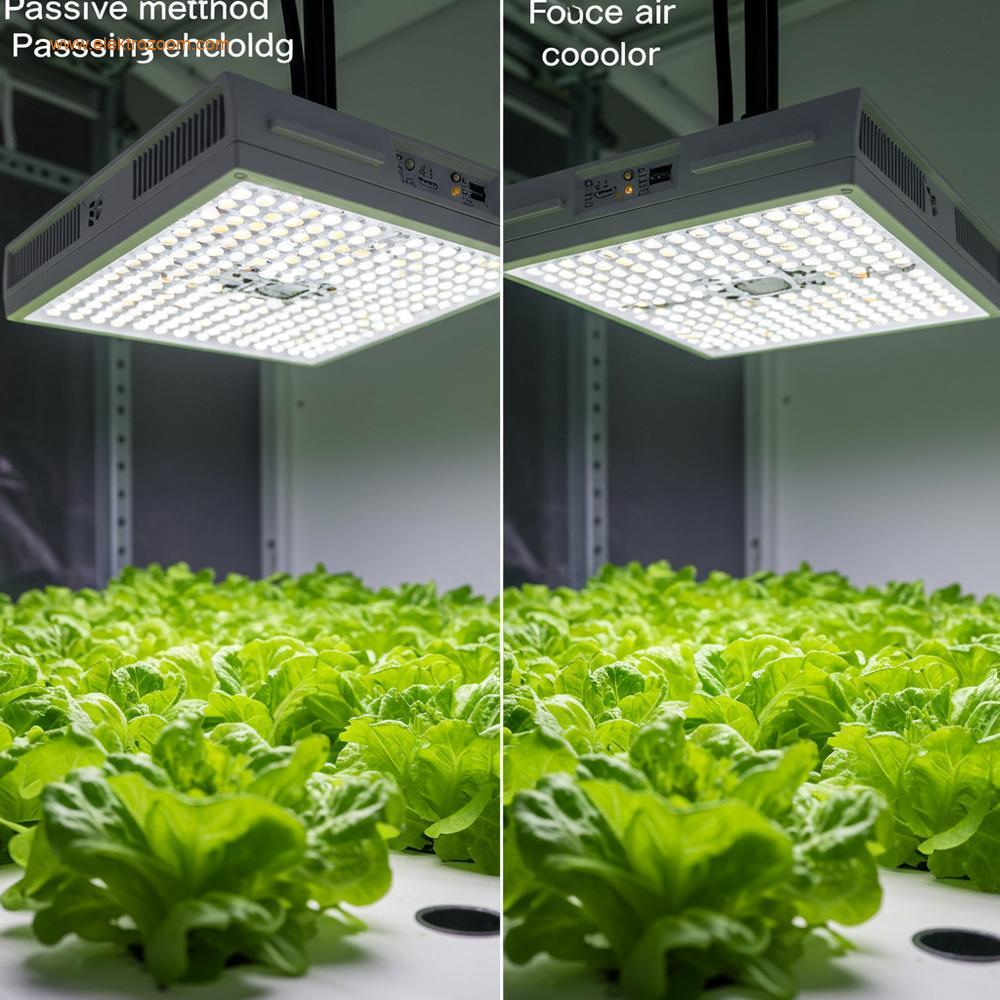 Pasif soğutmalı (sol) ve aktif fanlı (sağ) iki LED armatürünün hidroponik bitkileri aydınlatmadaki karşılaştırması.