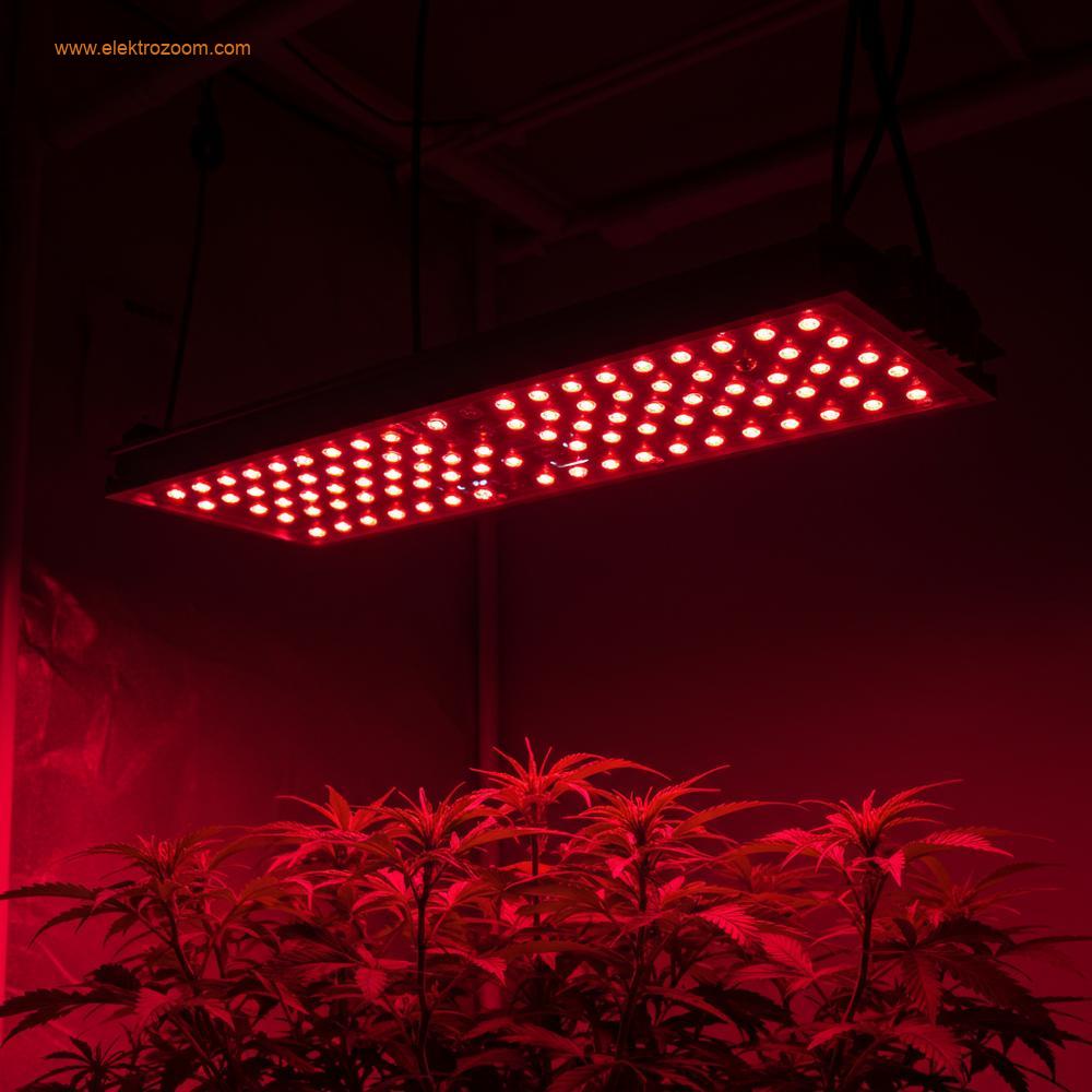 Temiz, minimalist bir çekim, tek bir yüksek güçlü LED çubuk fikstürüne odaklanıyor ve gelişmekte olan bir bitkinin kanopisine güçlü, odaklanmış bir ışık demeti yayıyor. Işık, hedeflenen spektrumu (baskın olarak kırmızı dalga boyları (640-660 nm) ile biraz mavi (450 nm) karışımı) açıkça sergilemelidir. Işık kaynağının kesinliğine ve yönlülüğüne, büyüyen alanın karanlık arka planına zıt olarak vurgu yapılmalı.