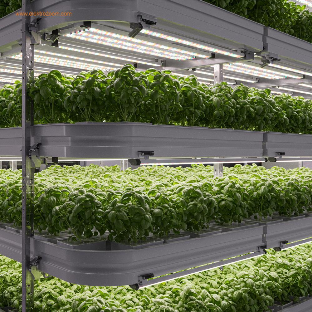 Kontrollü bir ortamda, yoğun bir dikey tarım katmanlarını gösteren fütüristik bir konsept görseli. Küçük, hassas bar tipi LED armatürler kompakt fesleğen bitkilerine çok yakın monte edilmiştir.