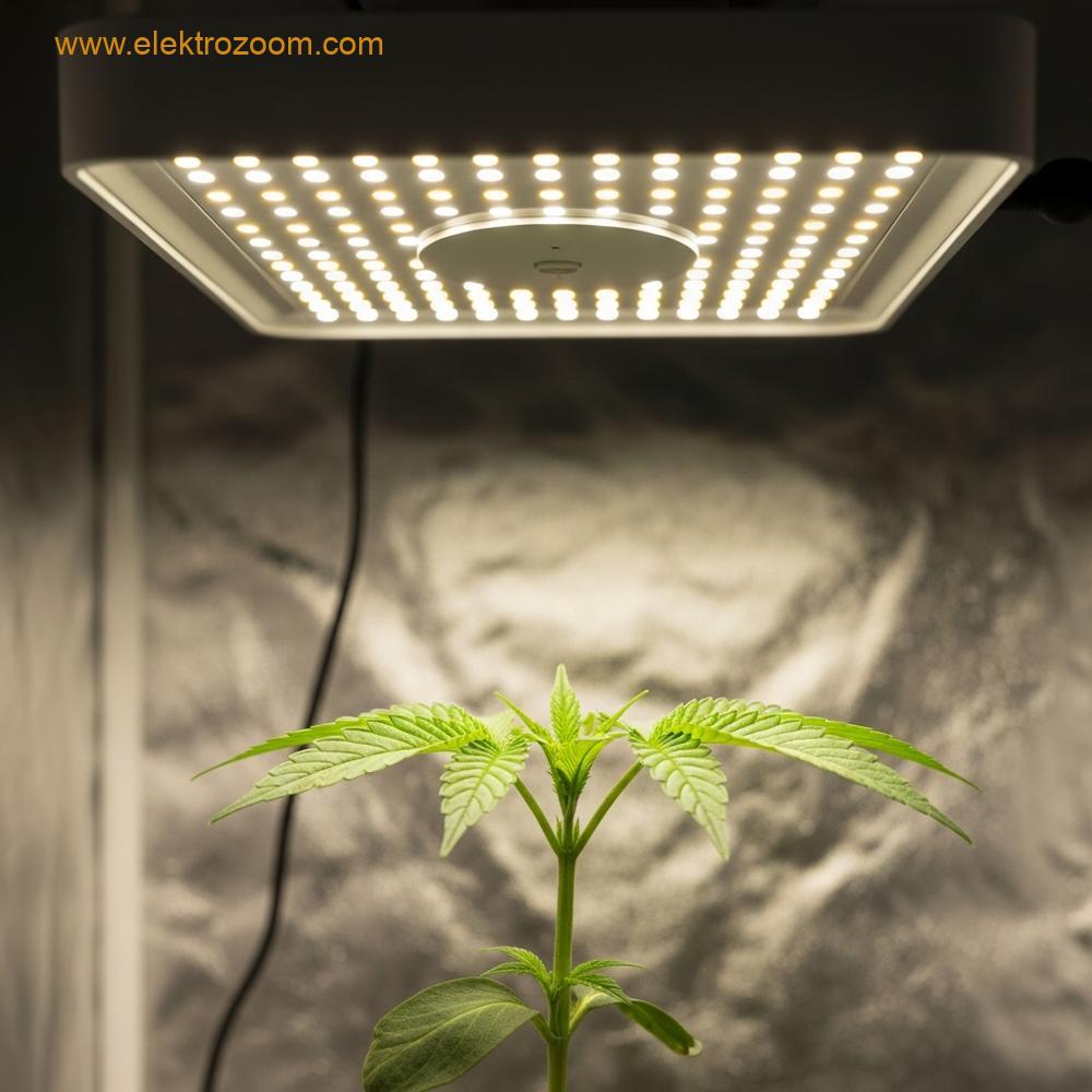 Genç bir fideye odaklanmış, ideal mesafede konumlandırılmış bir LED yetiştirme lambasının yakın çekim fotoğrafı. Işık dağılımı bitkinin yapraklarına sağlıklı bir şekilde ulaşıyor.