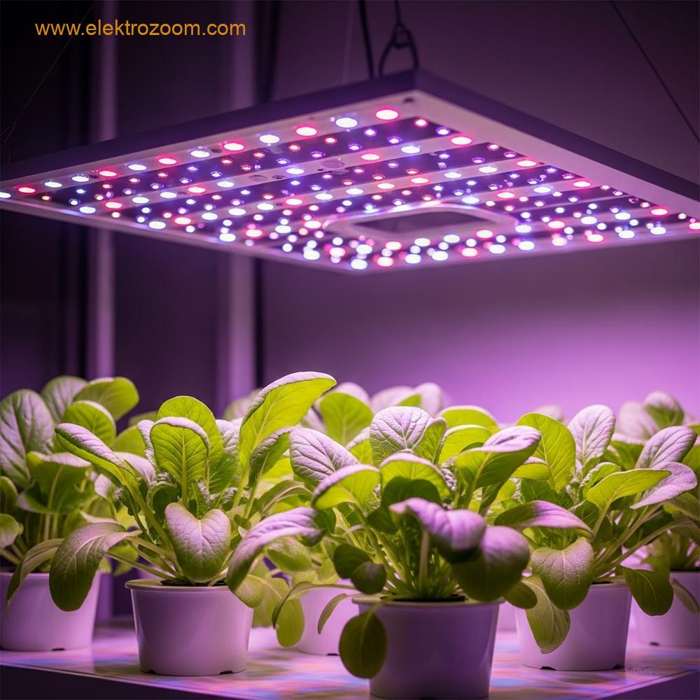 Modern bir iç mekan hidroponik düzenlemesinde, sağlıklı yeşil bitkilerin üzerinde asılı duran mor ve pembe tam spektrumlu LED yetiştirme lambaları.