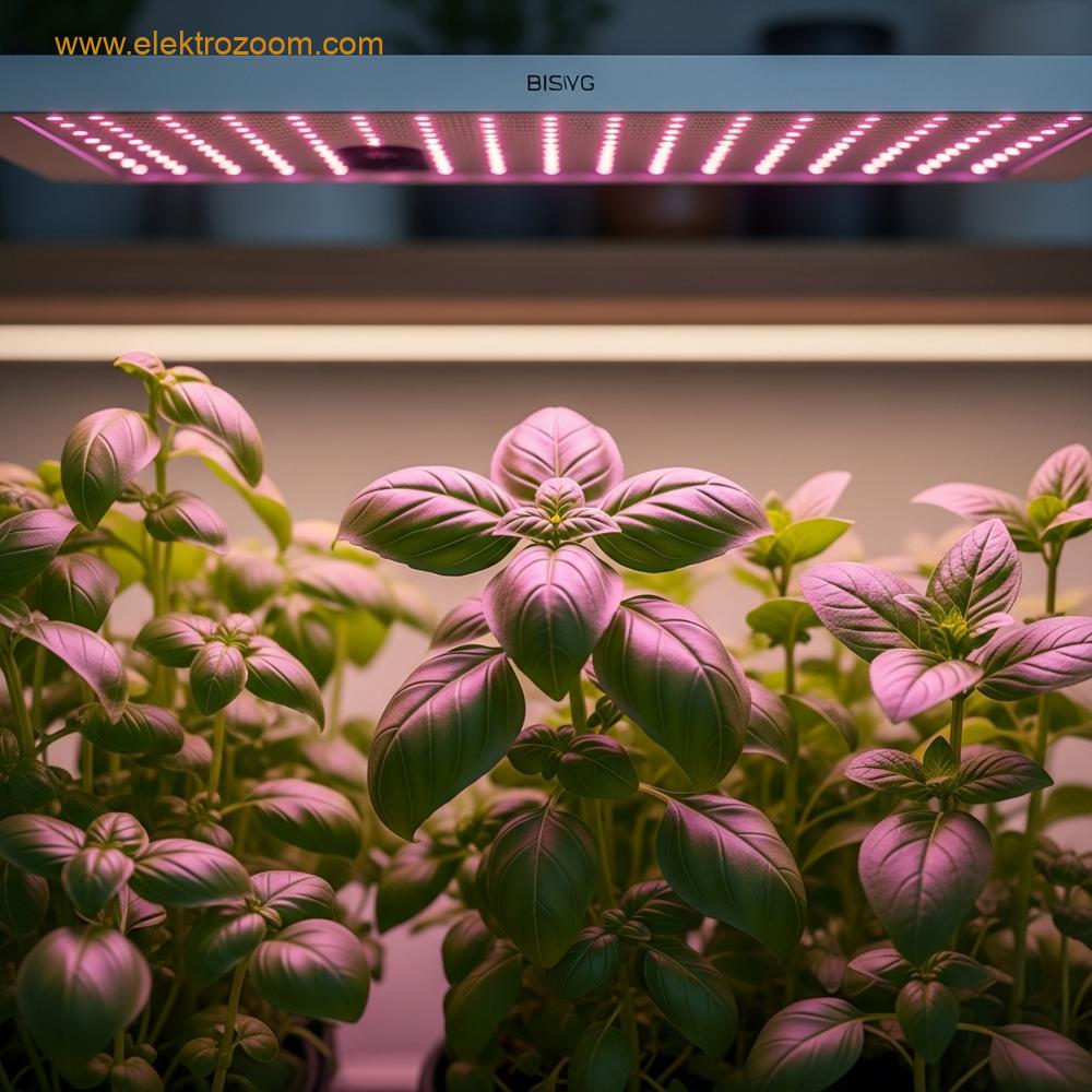 İç mekanda LED ışık altında büyüyen taze yeşil otlar