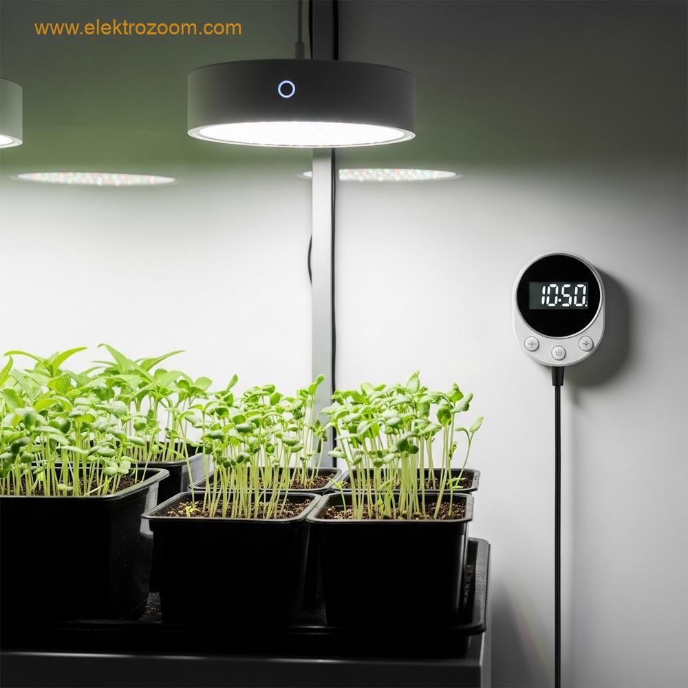 Fide fidelerinin altındaki dairesel bir LED yetiştirme ışığı paneli ve yanında görünen basit bir dijital zamanlayıcı düzenlemesi.