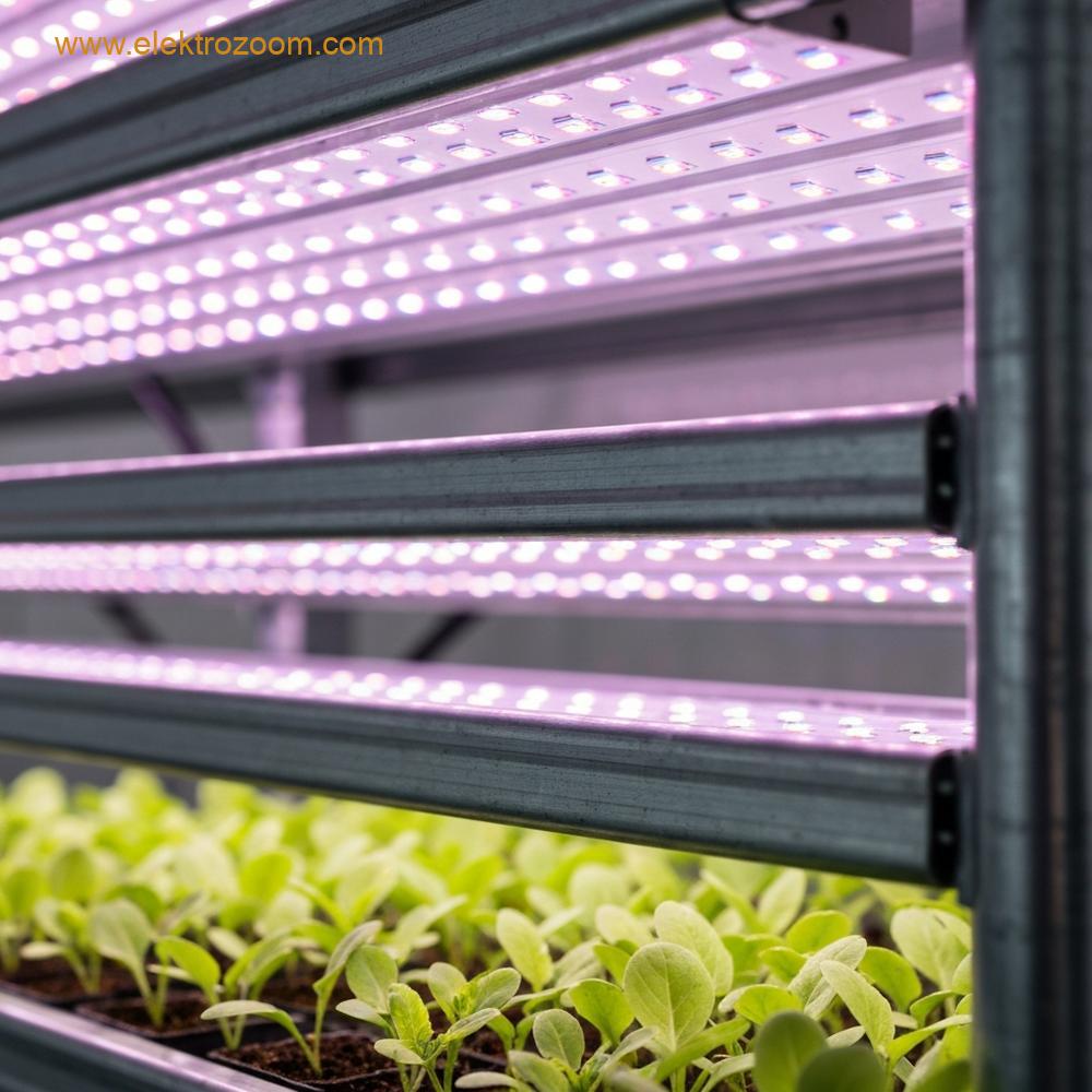 Kontrollü tarım ortamında metal raf sistemine entegre edilmiş LED yetiştirme ışıklarının yakın çekimi. Diyotlar hedeflenmiş ışık spektrumunu yayıyor.