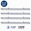 Fullbright hd 6000L quad (240W)