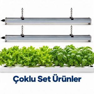 Setler