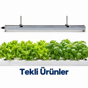 Tekli Ürünler