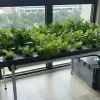 Yatay Topraksız Tarım Seti Hortifit 40
