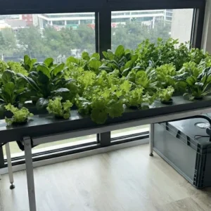 Yatay Topraksız Tarım Seti Hortifit 40