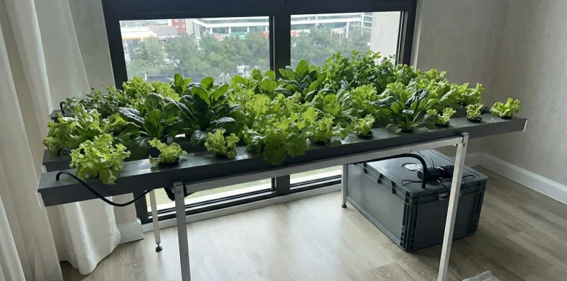Yatay Topraksız Tarım Seti Hortifit 40